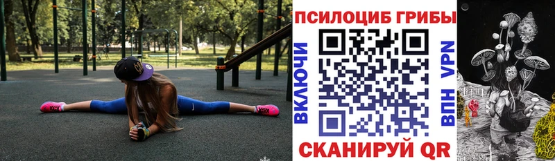 Псилоцибиновые грибы мицелий  Псков 