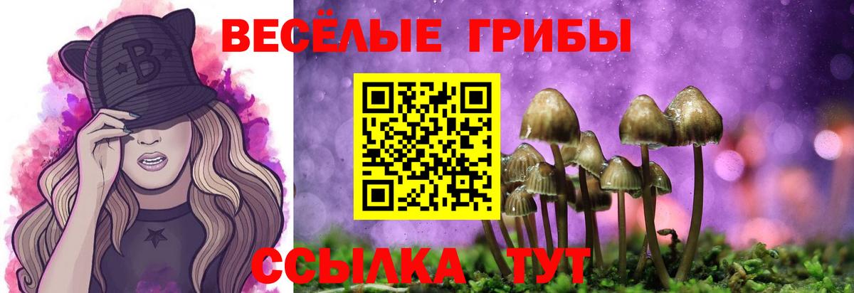 Псков  Галлюциногенные грибы Cubensis  Вход с VPN 