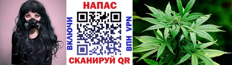 наркотики  Псков  Шишки марихуана сатива 