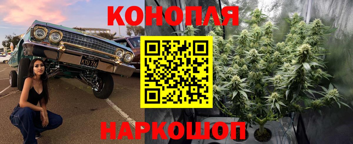 Марихуана SATIVA & INDICA  Канабис план  Марихуана индика  Вход с VPN  Псков 